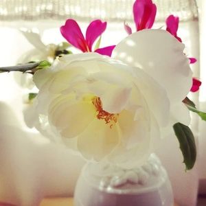 Meet your Posher, Bri